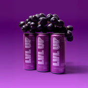 LVL UP HYDRATION ON THE GO GRAPE 330ML