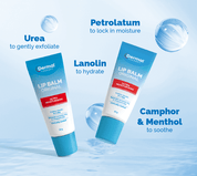 Dermal Therapy Lip Balm 10g